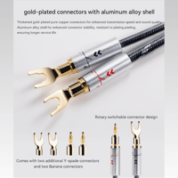 Cayin CS-30SP variant 2