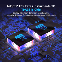 Fosi Audio Fosi Audio BL20A Bluetooth USB Power Amplifier variant 4