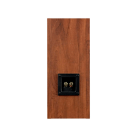 Fostex P1000-BH variant 3