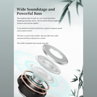 Sivga Audio Hifi dynamic Driver Wired IEM - Que variant 11