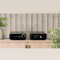 Cyrus Audio 40 PPA variant 4