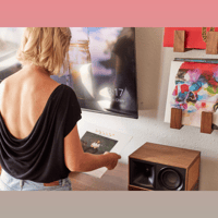 Andover Flip Record Display Shelf variant 18