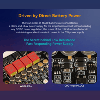 Cayin C9ii Titanium Color Edition variant 21