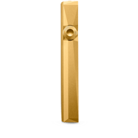 Astell & Kern SP1000MGOLD variant 7