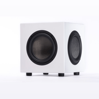 Starke Sound SUB24 - 8" Subwoofer variant 3