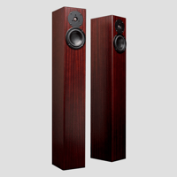Totem Acoustic Arro variant 3