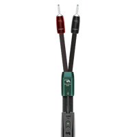 AudioQuest Robin Hood ZERO variant 10