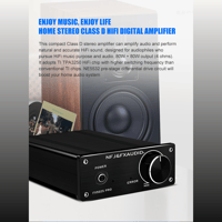 FX Audio FX502PRO TPA3250  digital amplifier variant 9