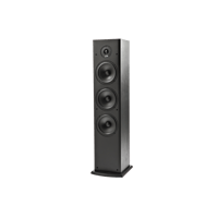 Polk Audio T50 variant 1
