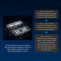 Cayin C9ii variant 12