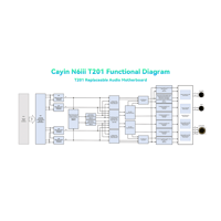 Cayin N6iii T201 variant 13