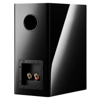 Dynaudio Evoke 20 variant 4