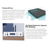 Cayin BTC-2 variant 5
