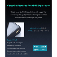 Cayin N6iii T201 variant 21