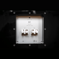 Daniel Hertz Bi-amplified M1 Delta variant 4