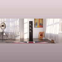 Acoustic Energy AE120 variant 5