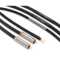 Shunyata Research GAMMA Phono variant 2