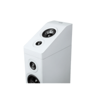 Polk Audio Reserve R900 variant 3