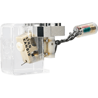 Linn Kandid variant 1