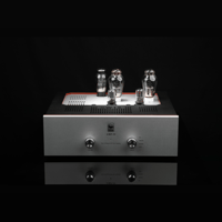 SW1x AMP IV “Aura” Integrated Amplifier variant 10