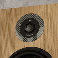 Marten Dexter Trio variant 5