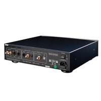 Cayin CS-100CD variant 4