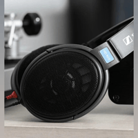 Sennheiser HD 600 variant 9