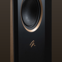 MartinLogan Motion F10 variant 25