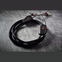 Gryphon Audio Vanta variant 13