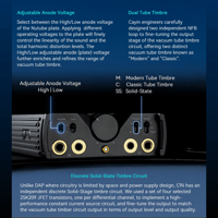 Cayin C9ii variant 13