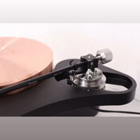 TW-Acustic Raven Anniversary variant 10