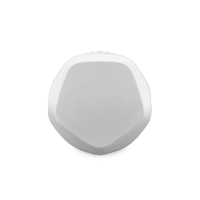 B&O-Bang & Olufsen  Beoplay S3 Cover variant 1