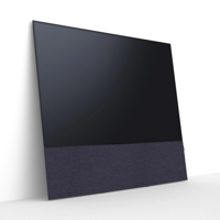 Canvas CANVAS front 75 variant 14