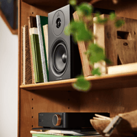 Argon Audio FORUS 5 variant 15