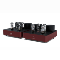 Fezz Audio Olympia Mono Power Amplifier variant 3