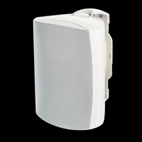 MartinLogan ML-45AW variant 21