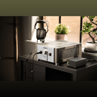 Wells Audio Headtrip III variant 2