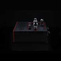 SW1x AMP V “Titan” Integrated Amplifier variant 5