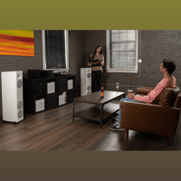 MartinLogan Motion F10 variant 45