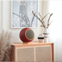 Elipson PLANET L - 80 YEARS ANNIVERSARY (pair) variant 4