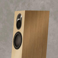 Marten Dexter Quartet variant 8