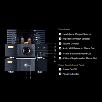 Cayin Soul 170HA variant 33