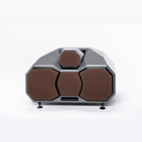 Wilson Audio Mezzo CSC variant 9