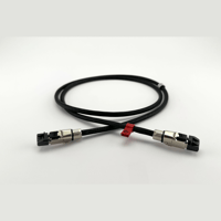 Ikigai Audio Tanoshimi variant 5