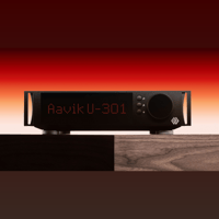 Aavik Acoustics Aavik U-301 / Unity Amplifier variant 1