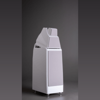 Wilson Audio Alexia V variant 18