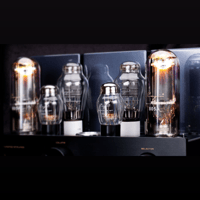 Cayin CS-805A variant 4