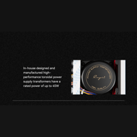 Cayin iDAC-8 variant 8