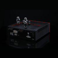 SW1x AMP V “Titan” Integrated Amplifier variant 3