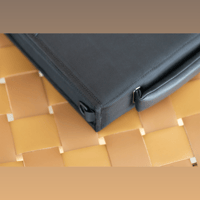 Effect Audio Chamber Carrying Case variant 3